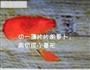 小鸟面的做法图解5