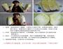 肉末蚝汁娃娃菜的做法图解3