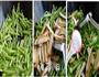茼蒿炒豆干的做法图解2