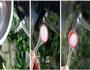 韭菜炒小饹馇的做法图解3