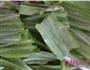 豆豉鲮鱼油麦菜的做法图解1