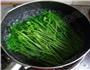 凉拌豌豆苗的做法步骤1