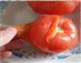 西红柿疙瘩汤的做法图解1