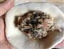 霉干菜肉饼的做法图解6