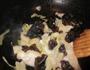 大葱炒白菜木耳的做法图解5