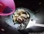 老汤豆腐的做法图解13