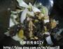白菜木耳肉片的做法图解3
