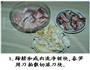 腌笃鲜的做法图解1