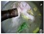 胡椒猪肚芸豆汤的做法图解1
