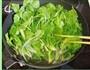 凉拌芝麻菠菜的做法步骤4