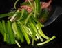 韭菜炒午餐肉的做法图解3