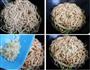 铁锅豆角焖面的做法步骤5