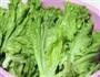 清炒生菜的做法步骤1