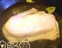 美味酱鸭的做法图解2