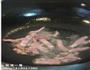 培根绿豆芽炒韭菜的做法图解1