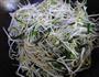 清炒绿豆芽的做法图解5