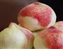 红酒蜜桃的做法图解1