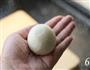 完美奶黄包的做法图解14