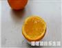 香橙果冻的做法图解6