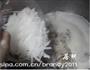 奶白鱼汤浸卜丝的做法图解9