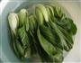 青菜草菇的做法步骤1