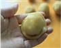 绿豆蓉月饼的做法图解19