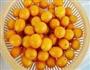 糖渍金桔的做法图解1