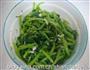 麻油茼蒿的做法步骤4