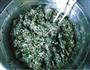 荠菜开洋馄饨的做法图解5
