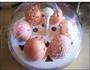 白煮蛋的做法图解4