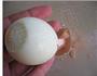 白煮蛋的做法图解7