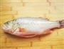 清蒸鲈鱼的做法图解1