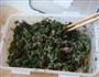 荠菜盒子的做法图解1
