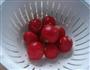 酸甜樱桃小萝卜的做法图解1