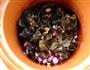 花生红枣黑木耳养血汤的做法图解3
