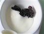 凝固型酸奶的做法图解3