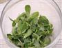 凉拌马齿苋的做法步骤3