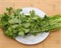 如何保存香菜的做法图解1
