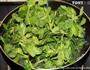 榄菜炒豆苗的做法图解6