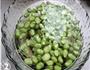 葱油浸蚕豆的做法步骤2