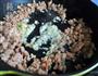 芹菜炒肉末的做法图解3