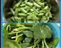 蒜蓉菠菜、手掰豆角的做法图解2
