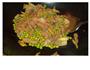 青豆青椒红萝卜炒牛肉丝的做法图解6