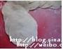 水煎包的做法图解6
