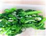 西兰花炒虾仁的做法图解6