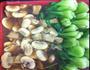 蘑菇青菜的做法步骤1
