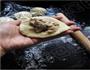 蘑菇鸡肉包的做法图解10