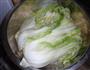 韩国泡菜的做法图解1