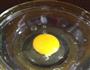 浓郁鸡蛋羹的做法图解1