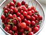 自制樱桃果酱的做法步骤1